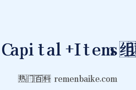 Capital+Items组词是什么意思的图片